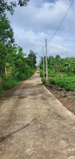 Cần bán 6 sào đất gần cây xăng bàu trâm vị trí đất cao nhất so với khu vực sung quanh tiện làm view nghỉ dưỡng. Cần kết nối anh chị em môi giới
