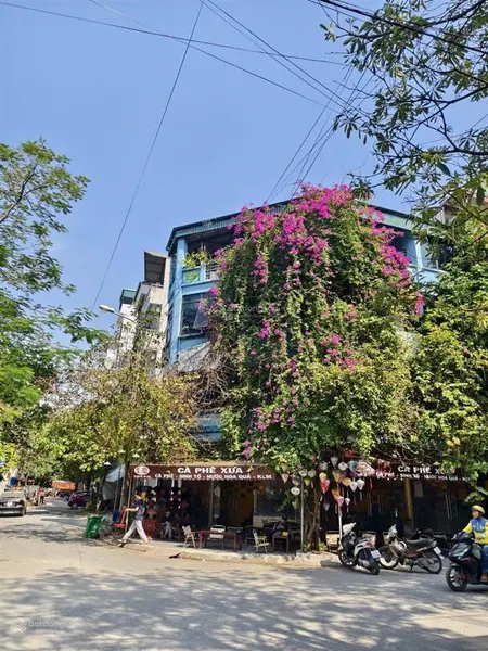 Đất dịch vụ man bồi gốc găng, ba la, hà đông 5 0m chỉ hơn 10 tỷ