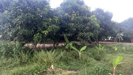 Bán đất dân suối tiên gần khu nhà ga đường sắt cao tốc diên khánh 1tr/m2