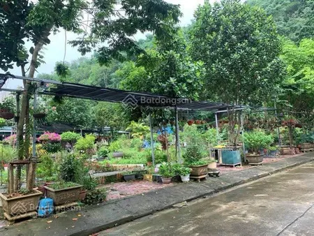 Bán đất cao lanh vạn hoà ngay đầu cầu phú thịnh sắp thành phường lào cai