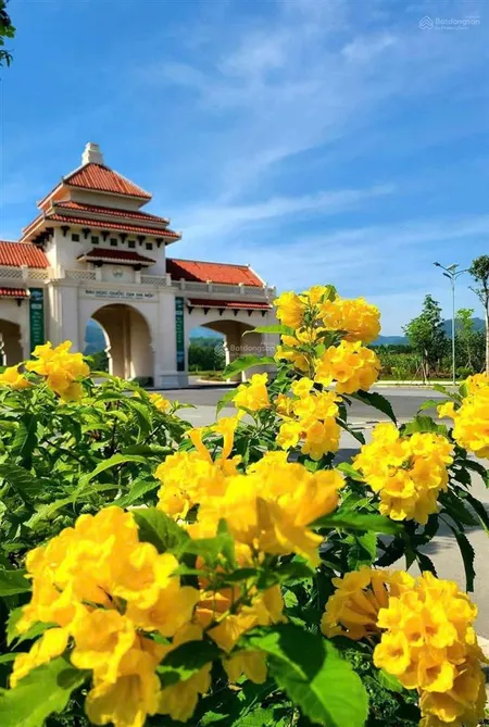 Chính chủ cần bán gấp lô đất đẹp gần đại học quốc gia hà nội