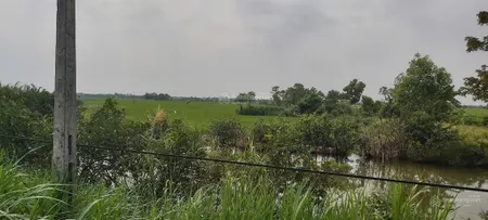 Đất đẹp giá tốt 2.500m² có 170m² thổ cư ngay gò công, gần vàm láng chỉ 5 tỷ!