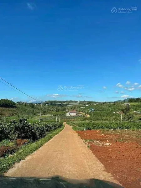 Chính chủ bán đất nền giá rẻ cho ai biết nắm bắt cơ hội tại nam hà, lâm đồng