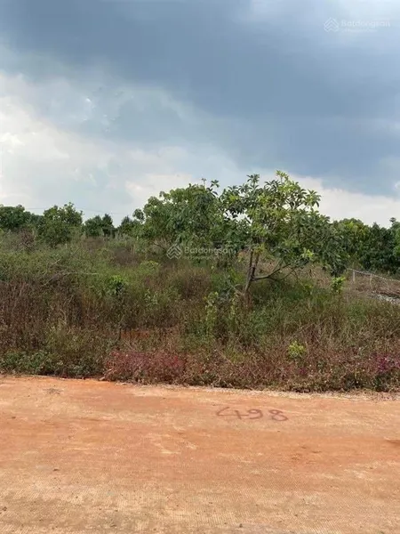 Cần tiền trả nợ bán 524m2 có sổ riêng, giá siêu tốt tại lâm đồng