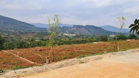 Đất cá nhân chính chủ tt nam hà lâm hà view đỉnh đồi cực đẹp