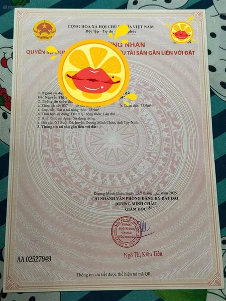 Còn 1 lô duy nhất 199 triệu sở hữu ngay dương minh châu, tây ninh 0981 338 ***