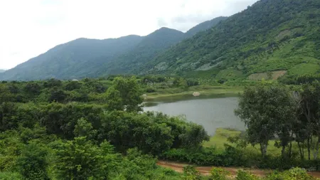 Cần sang lỗ 5983,5m2 đất mặt hồ di tích hố kè tại krông bông. có cà phê đang thu hoạch