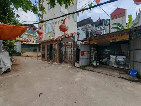 Mặt ngõ ô tô tránh kinh doanh nhỏ view công viên tương lai gió lộng thoáng mát xây nhà ở cực