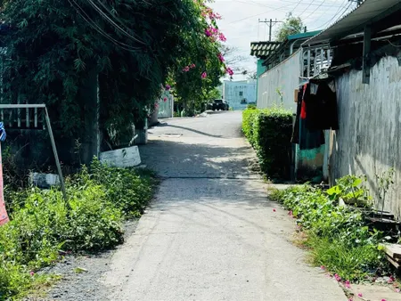 Bán đất vườn gần bệnh viện nhi đồng 3, trường đại học y khoa phạm ngọc thạch
