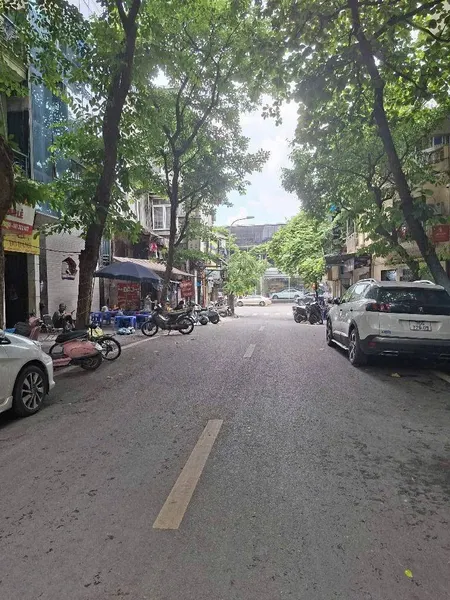Mặt phố siêu hiếm đỗ hành bán 141M tặng nhà hai bà trưng