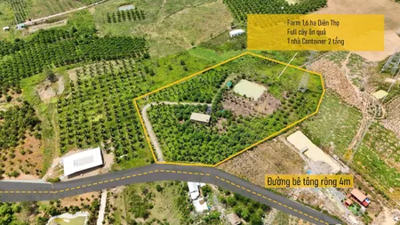 Farm Sinh Thái 16.240m² Diên Thọ, Diên Khánh , Khánh Hòa phù hợp xây nhà yến, trang trại