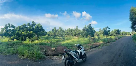 Bán đất 6447.6m² ngang 103m giá 10 tỷ Xã Hòa Hội