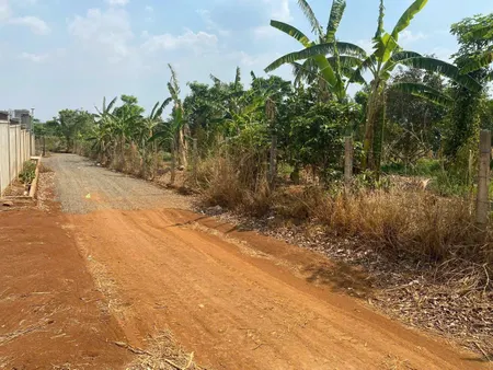 Đất nông nghiệp Khánh Xuân cũ 500m² ngang 21m giá 320 triệu Phường Thành Nhất