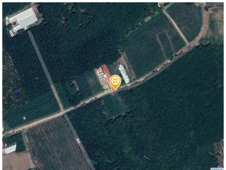 Bán đất 282.9m² Xã An Long
