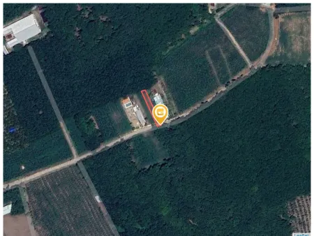 Bán đất 339.1m² Xã An Long