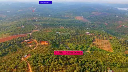 Bán đất view suối đá đăk wer, dăk r'lấp, 9500m2 view đẹp cảnh bao đẹp, vị trí đẹp giá 1.5 tỷ