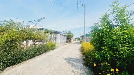 Bán 5m x 36m (178m2) đất thổ cư đường trần quốc toản, phước lộc, lagi giá rẻ 950 triệu gần biển