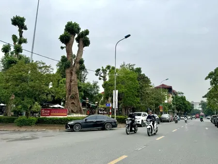 Siêu hiếm,đất nguyễn mậu tài,trâu quỳ khách xây biệt phủ,phân lô,vỉa hè,ô tô tránh,cạnh ubnd quận