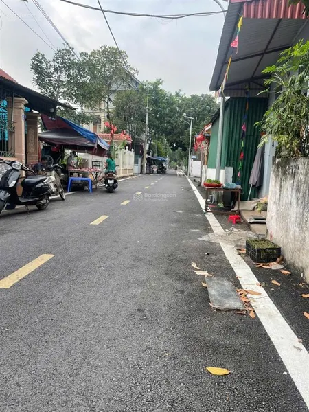 Trục kinh doanh, đất đan phượng. hàng hiếm