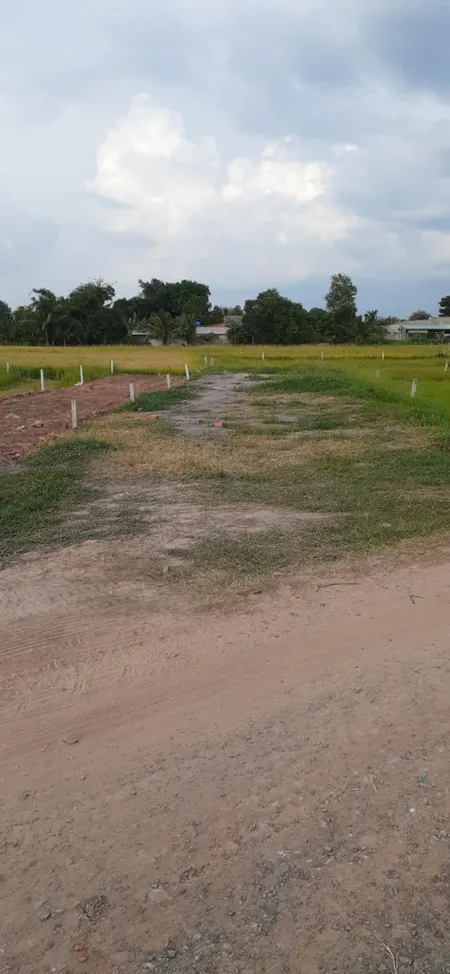 Bán đất 200m² ngang 6m giá 550 triệu Xã Đức Huệ