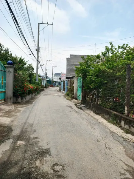 Nhà Cấp 4 Thạnh Phú Vĩnh Cửu 365m2 Thổ Cư Đường nhựa Gần Chợ Thạnh Phú