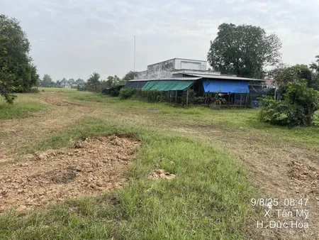965m2 thổ tỉnh lộ 822 ngã 4 tân mỹ