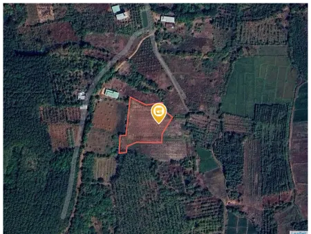 Bán đất 250m² ngang 5m giá 900 triệu Xã Tân Hưng