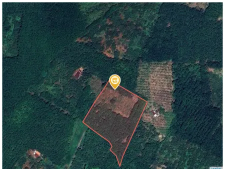 Bán đất 250m² ngang 5m giá 100 triệu Xã Tân Hưng