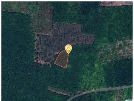 Bán đất 250m² ngang 5m giá 150 triệu Xã Tân Quan