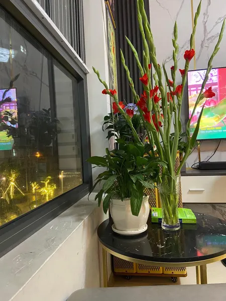 Căn hộ Bcons Dĩ An 2pn2wc full nội thất view công viên, hồ bơi nội khu