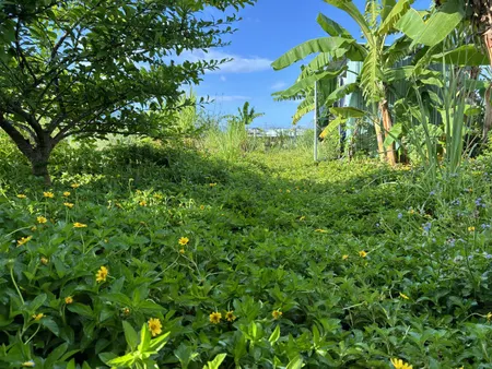 Bán đất 567.7m² ngang 22m giá 395 triệu Xã Tuy Phước Tây