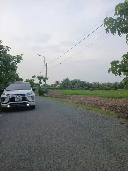 Bán sỉ 17 nền thổ cư 5x26m, mặt tiền Nguyễn Minh Hoàng, Cần Giuộc, Long An, giá đầu tư