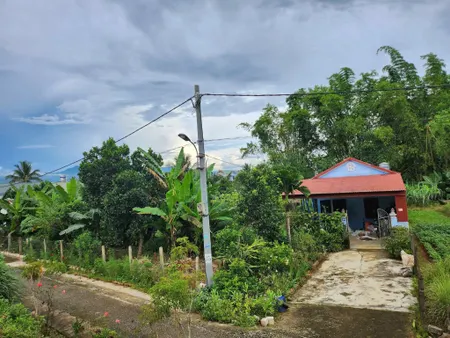 Bán đất tại tổ 2 thanh trường