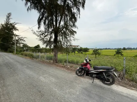 Bán gấp 3455m2 lúa, mặt tiền Đê số 4, Tân Nhựt, Bình Chánh, cách Võ Trần Chí 3km
