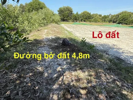 Bán đất 252m² giá 229 triệu Xã Thăng An