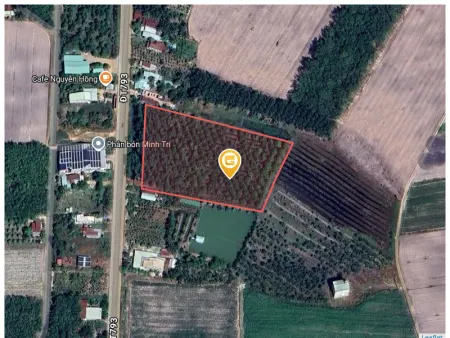 Bán đất 11466.4m² giá 7.5 tỷ Xã Tân Phú