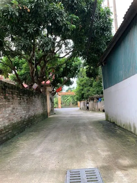 Khổ nhỏ giá đầu tư và ở đẹp cổ dương tiên dương đông anh