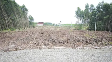 Bán 1033m2 gần đường lý thường kiệt tân phước lagi giá siêu rẻ 950 triệu qh odt