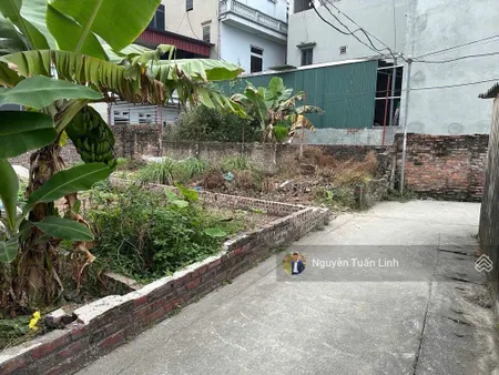 Bán 56m2m2 trung oai, tiên dương, vị trí đẹp, cách cầu nhật tân chưa tới 10 phút