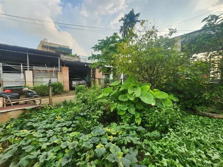 Đất sổ riêng thổ cư thích hợp làm nhà vườn, diện tích 301m2