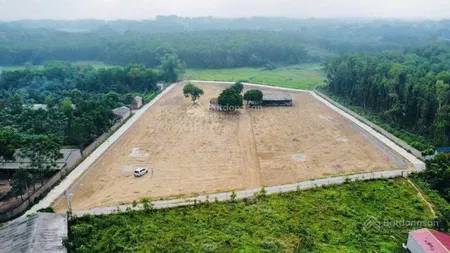 Chỉ 7xx tr sở hữu ngay sổ đỏ lô đất trồng cây lâu năm 1000m2 tại đông phượng, cẩm lĩnh, ba vì, hn