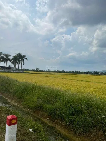 215 tr/ lô thổ cư 125 m2xung quanh là uỷ bantrường họcmặt đường 10 m. sổ đỏ full thổ cư.