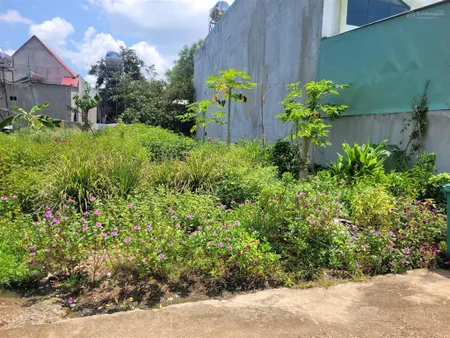 Bán đất tại thị trấn tân phú, đồng phú, bình phước, giá 935tr, 277 m2