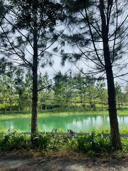 Park hill view hồ chính chủ thổ cư xd tự do 850tr