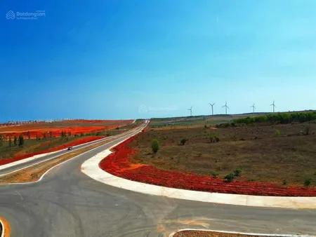 Trang trại 25ha trên đất có thanh long đang khai thác, mặt đường hòn dồ gần nova giá tốt đầu tư