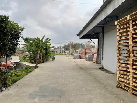Siêu phẩm ngõ 67m tuyến 2 đg 407 cách chợ thanh sơn chỉ 300m , cách trung tâm huyện kiến thuỵ 1km