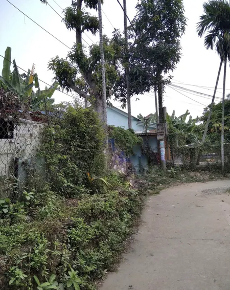 Bán đất tại Điện Phương, Điện Bàn, Quảng Nam, 2,5tỷ, 1180 m2