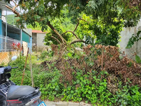 Bân đất năth 279 Mường Ảng