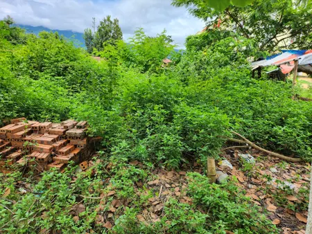 Banz đất đối diện ttyt huyện cũ