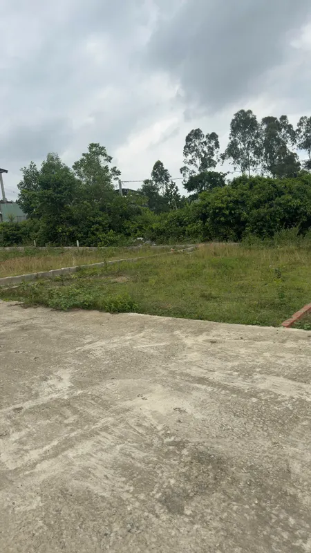 Cần bán